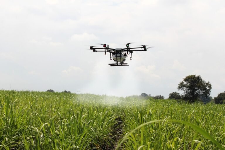 Agronegócio paulista tem superávit de US$7,51 Bilhões em 2024